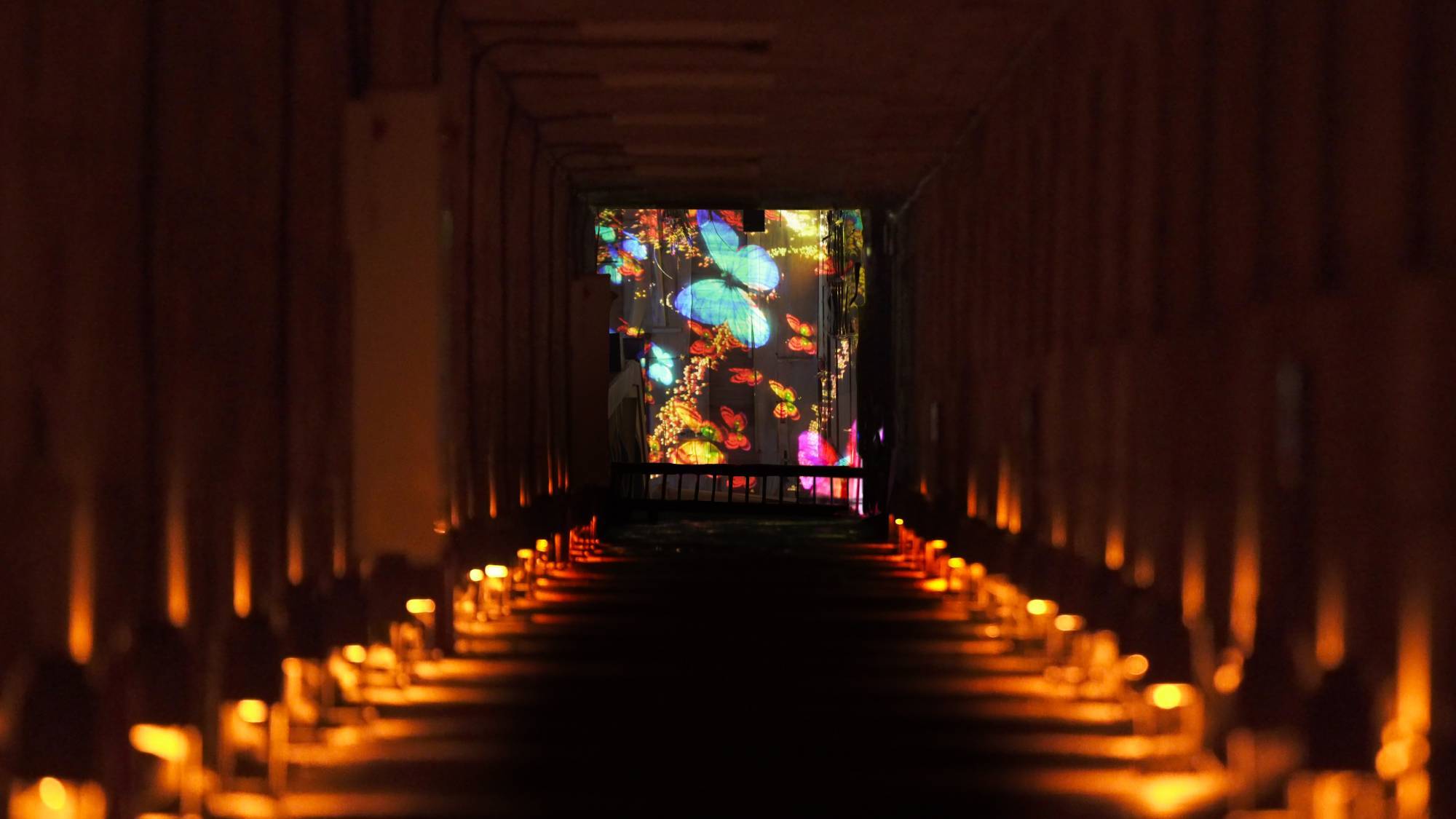 teamLab 最新藝術光投影作品現身九州廢棄湯屋！「神樣居住之森藝術展」首見破土巨石上瀑布開花