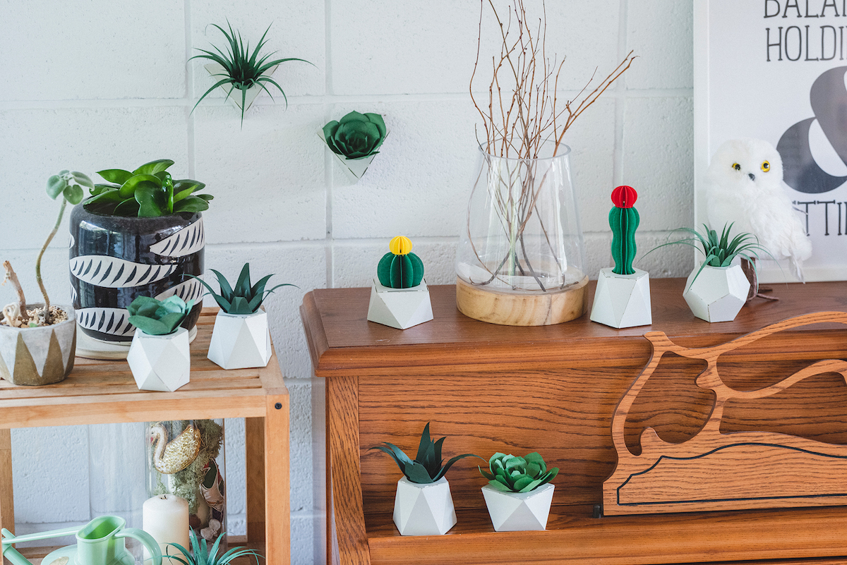 日本手工植物紙雕「PAPELANTS」！自己動手做8款多肉植物、仙人掌