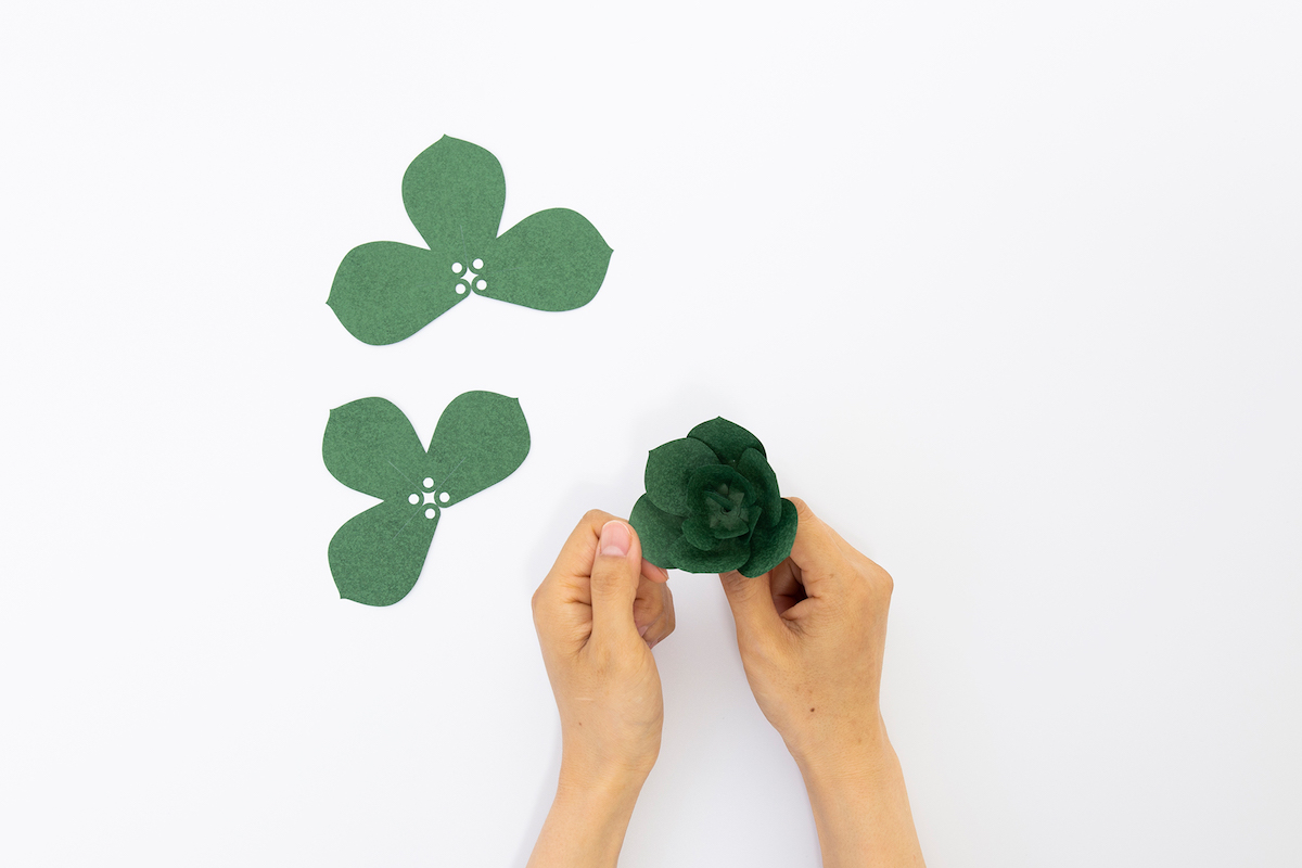 日本手工植物紙雕「PAPELANTS」！自己動手做8款多肉植物、仙人掌