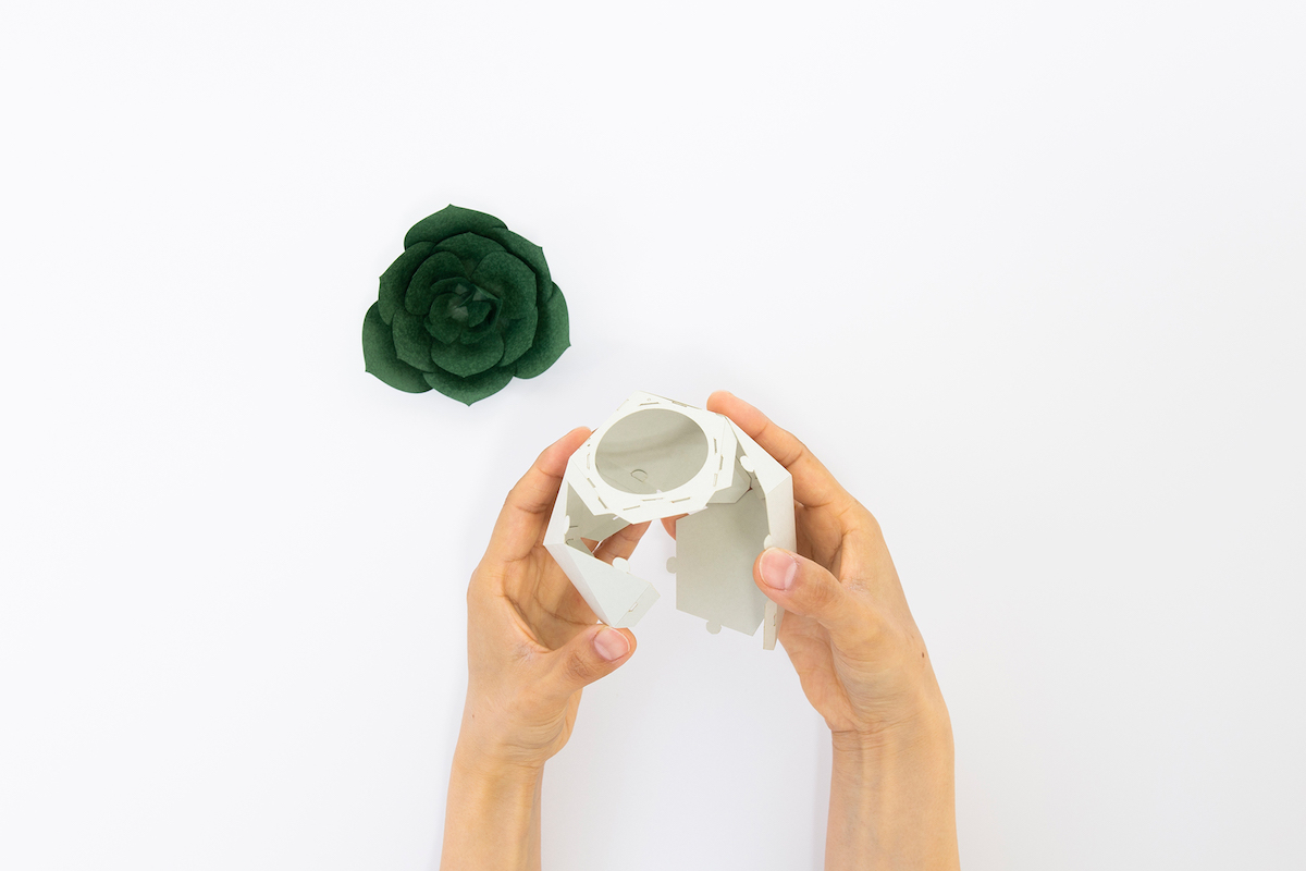 日本手工植物紙雕「PAPELANTS」！自己動手做8款多肉植物、仙人掌