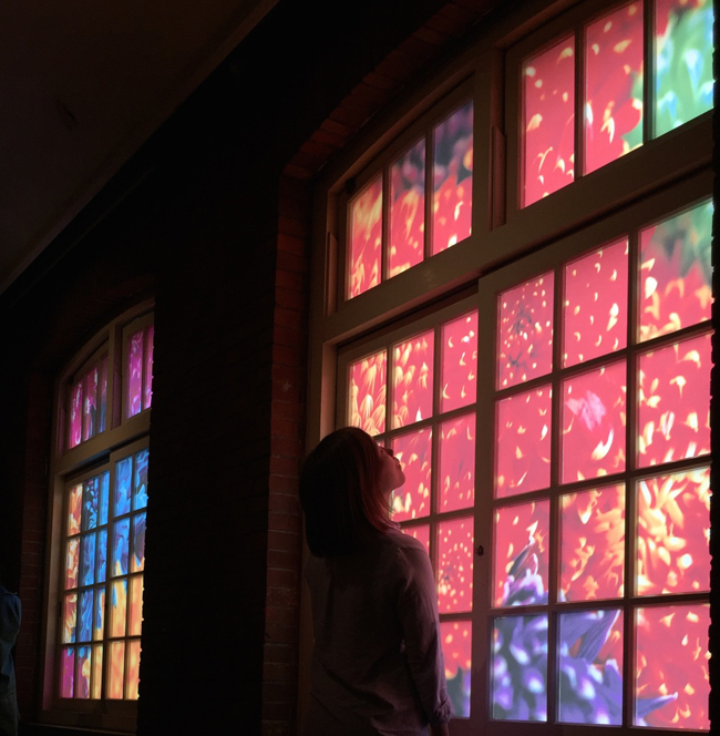 【觀展心得】惡女其實有顆溫柔的心 - 蜷川實花華麗至極，絢爛奪目的影像世界