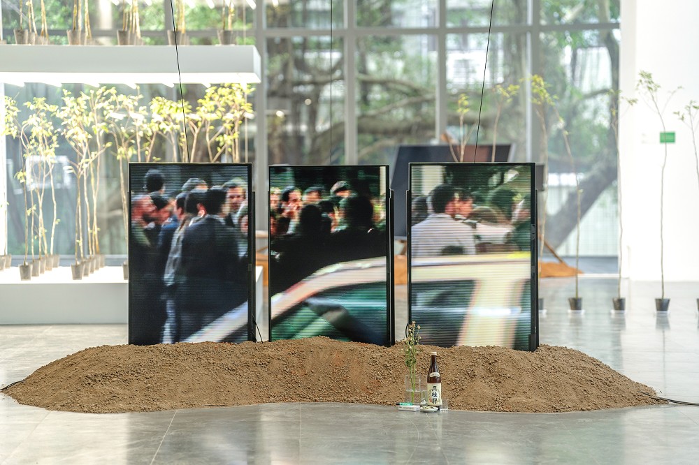 北師美術館《酷共生》展覽亮點！11組跨領域創作探討跨越物種的依存關係