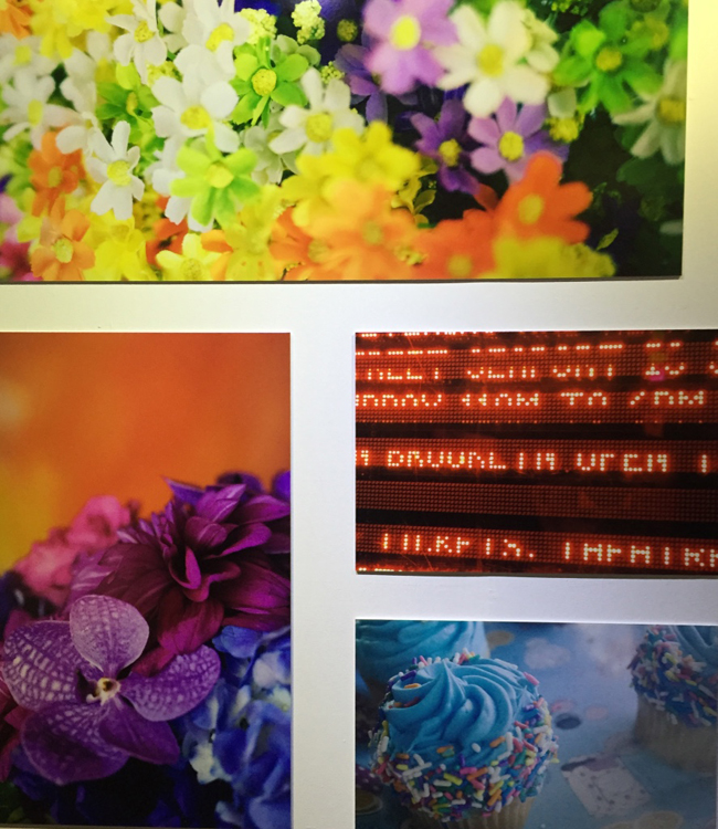 【觀展心得】惡女其實有顆溫柔的心 - 蜷川實花華麗至極，絢爛奪目的影像世界