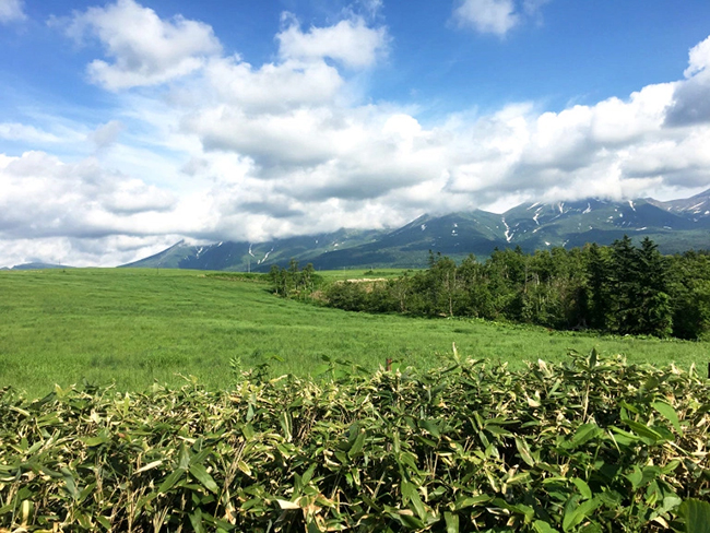 這藍不是天空藍！來北海道不可錯過的青池