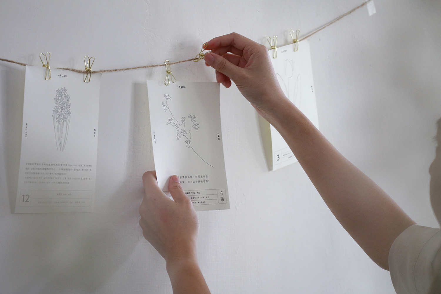 整年都有植物相伴！一隅有花推出《一年生》日曆勾勒植物姿態，結合溫暖字句撫慰日常生活