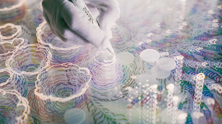 60層玻璃堆疊奇幻美景！藝術家Claudia Bueno勾勒有機自然光影創作「Pulse」