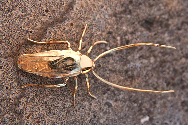 拿起拖鞋前先看仔細！鍍金的蟑螂雕塑（慎入：內有大量蟑螂）