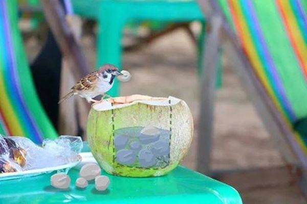 從「心」出發找回自我初衷！素人手繪塗鴉創作比賽