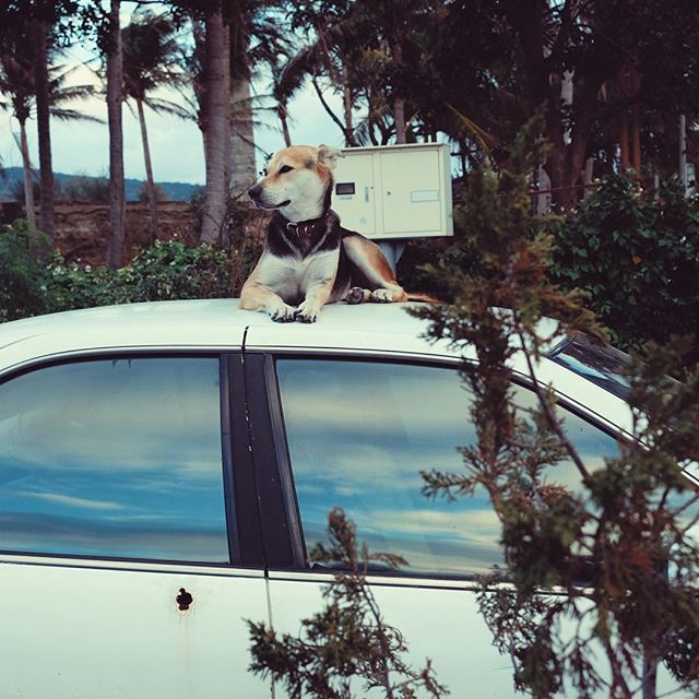 台南郵差先生的生活日常｜Taiwan IG Show vol.1