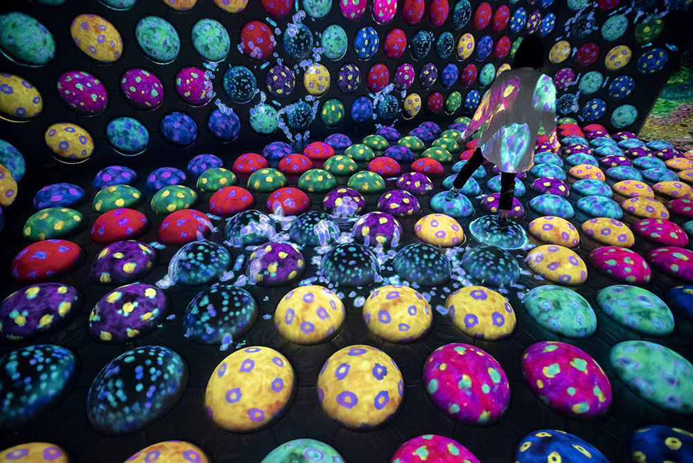 teamLab 最新常設展位於九州福岡！在 teamLab Forest 魔幻森林裡踩蘑菇、與動物漫步