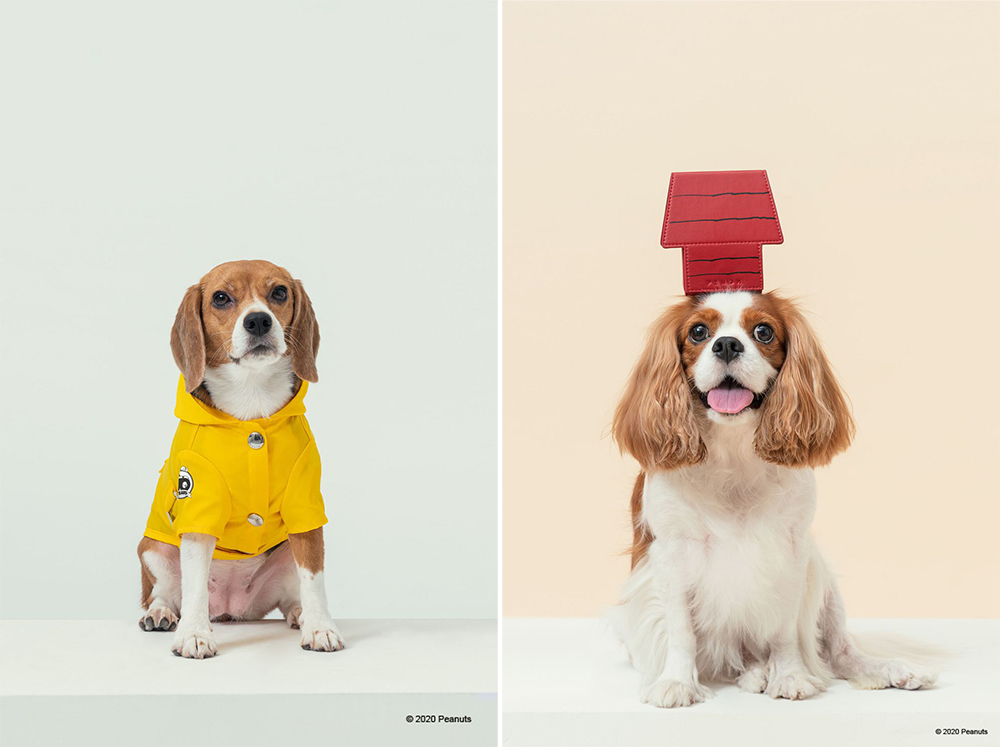 經典茄芷袋紅、綠、藍 Pinkoi x SNOOPY 史努比聯名！台味平安符、日曆和熱炒玻璃杯的台式日常