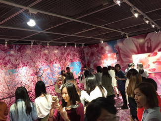 【觀展心得】惡女其實有顆溫柔的心 - 蜷川實花華麗至極，絢爛奪目的影像世界