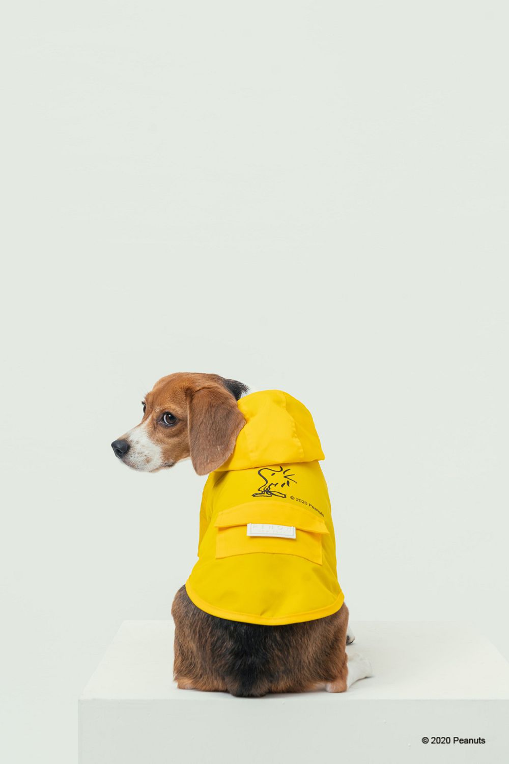 經典茄芷袋紅、綠、藍 Pinkoi x SNOOPY 史努比聯名！台味平安符、日曆和熱炒玻璃杯的台式日常