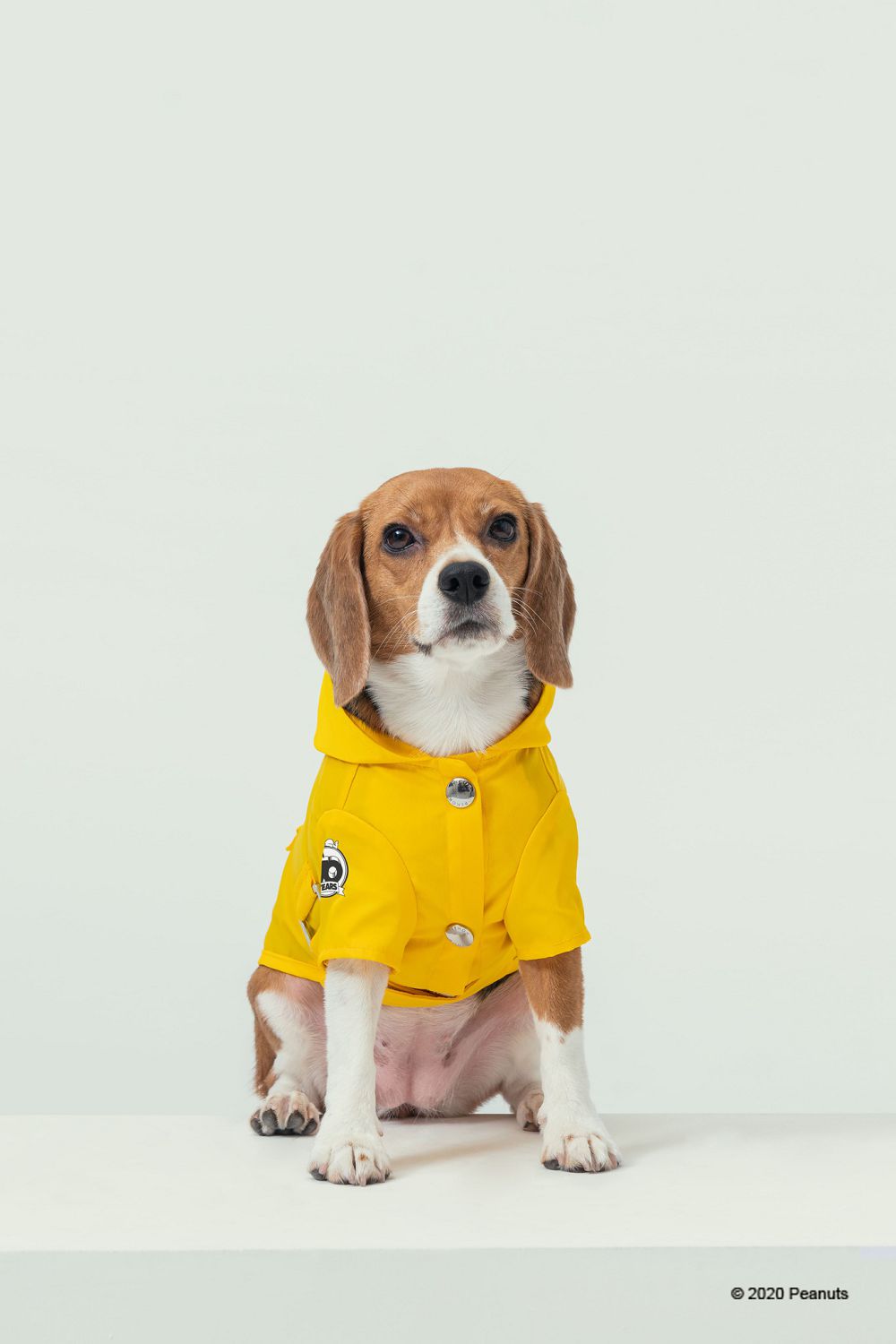 經典茄芷袋紅、綠、藍 Pinkoi x SNOOPY 史努比聯名！台味平安符、日曆和熱炒玻璃杯的台式日常