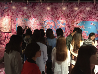 【觀展心得】惡女其實有顆溫柔的心 - 蜷川實花華麗至極，絢爛奪目的影像世界