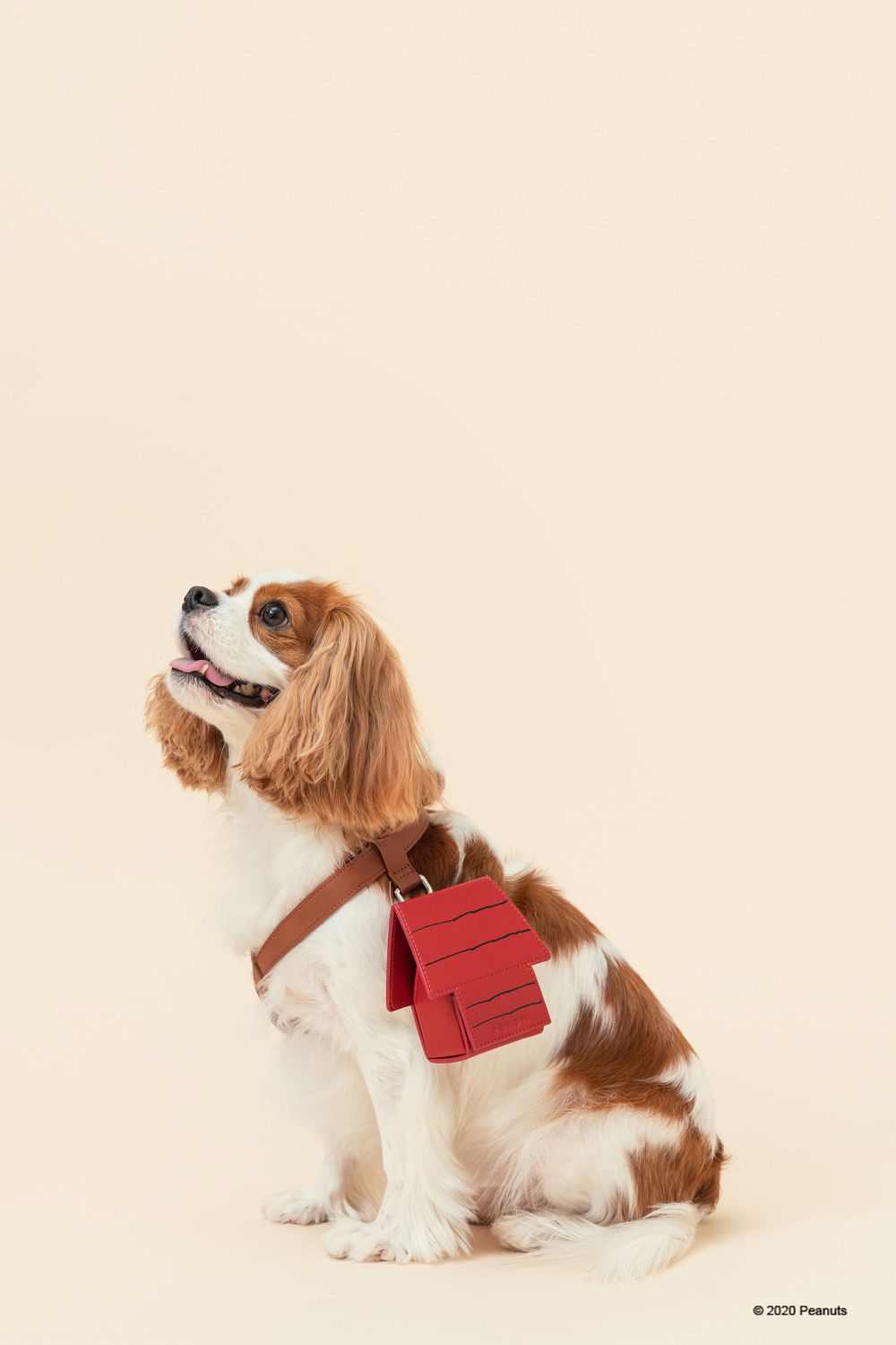 經典茄芷袋紅、綠、藍 Pinkoi x SNOOPY 史努比聯名！台味平安符、日曆和熱炒玻璃杯的台式日常