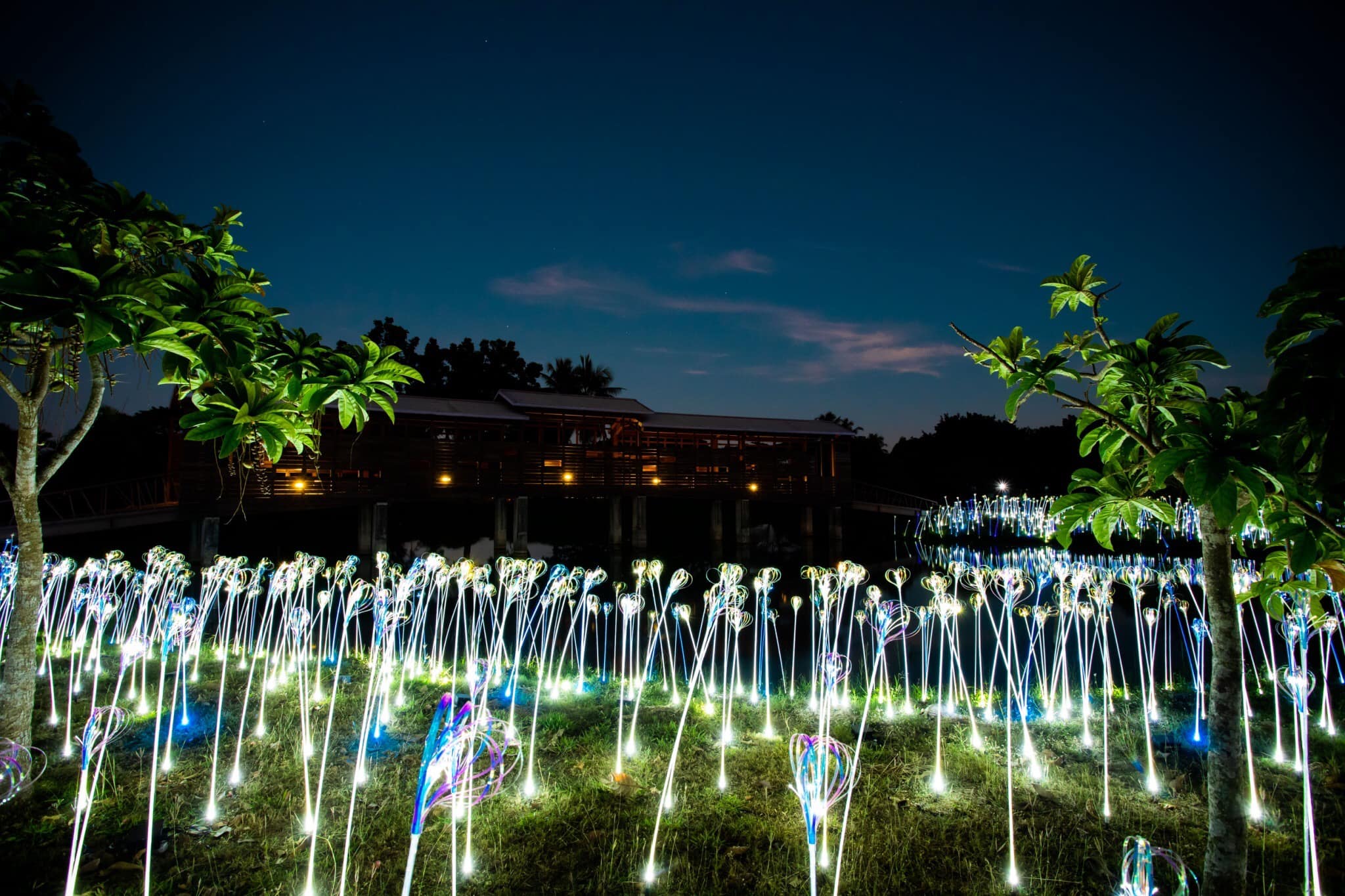 2022台灣燈會在高雄!愛河灣X衛武營雙燈區、機械千手光劍、大港虎橋等180+作品