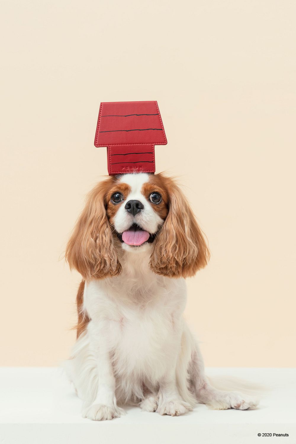 經典茄芷袋紅、綠、藍 Pinkoi x SNOOPY 史努比聯名！台味平安符、日曆和熱炒玻璃杯的台式日常