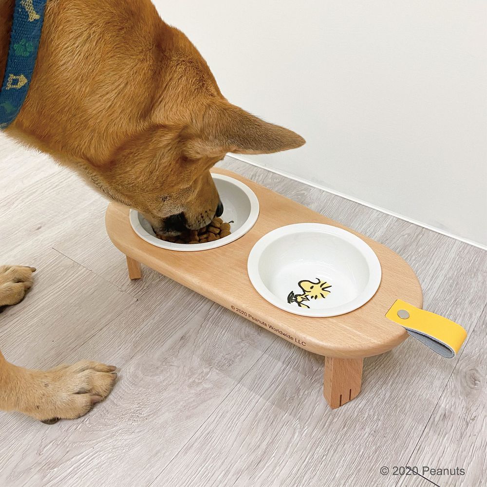 經典茄芷袋紅、綠、藍 Pinkoi x SNOOPY 史努比聯名！台味平安符、日曆和熱炒玻璃杯的台式日常