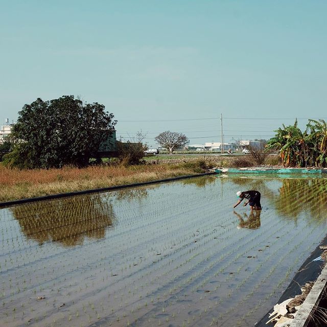 台南郵差先生的生活日常｜Taiwan IG Show vol.1