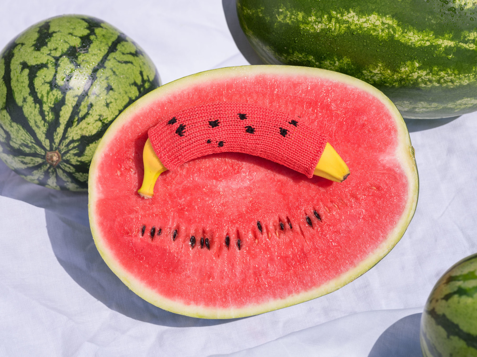 毛衣變身隱形斗篷！攝影師Joseph Ford、藝術家Nina Dodd的保護色毛衣創意攝影