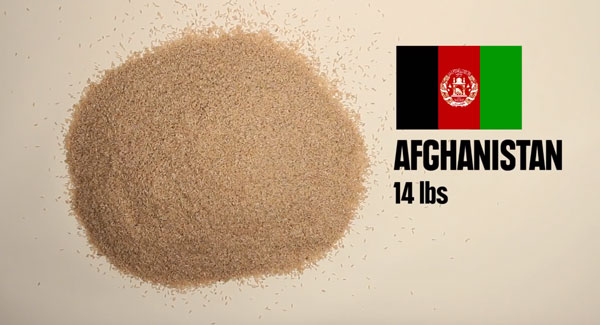 150 元、600 元的台幣可以買到多少食物或…毒品？