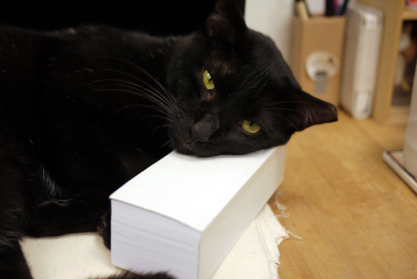 【生活玩物】迎接新的一年，桌上擺個新文具讓上班更有趣～Urban Prefer文具系列