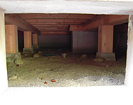 宮崎駿卡通「龍貓」中的透天別墅真的被做出來啦！