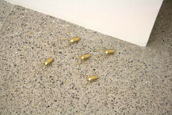 拿起拖鞋前先看仔細！鍍金的蟑螂雕塑（慎入：內有大量蟑螂）