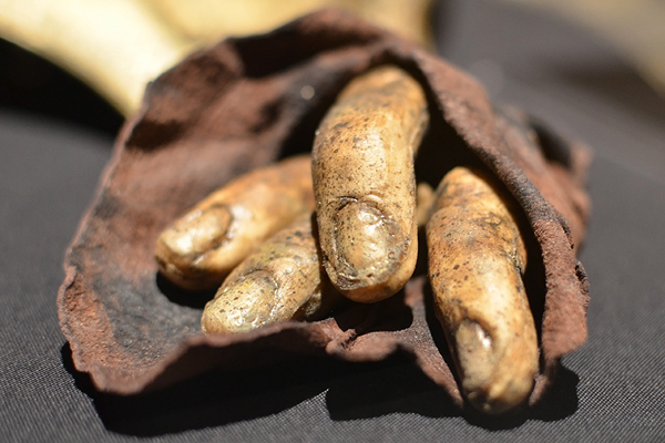 令人心神嚮往~冰與火之歌紐約特展