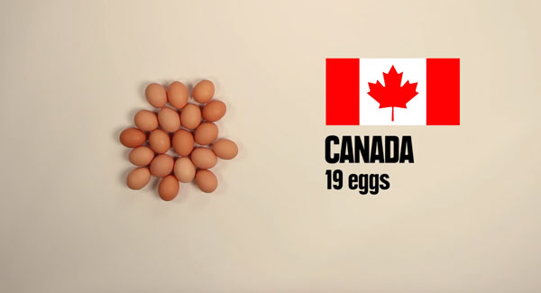 150 元、600 元的台幣可以買到多少食物或…毒品？