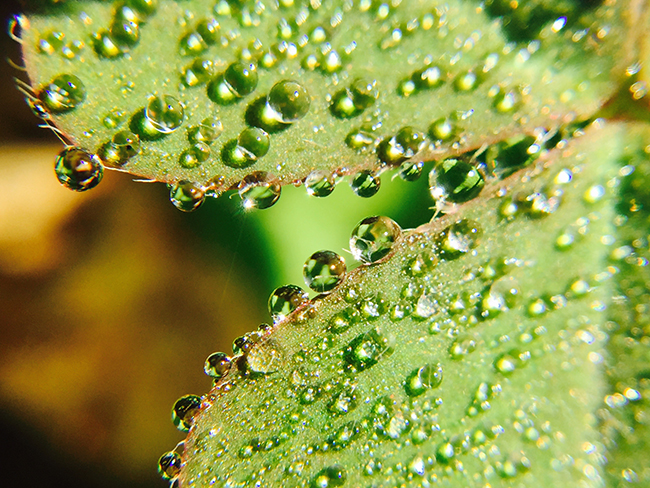 SNAP! 7 保護手機還能花式玩攝影，外接鏡頭用過就回不去啦！