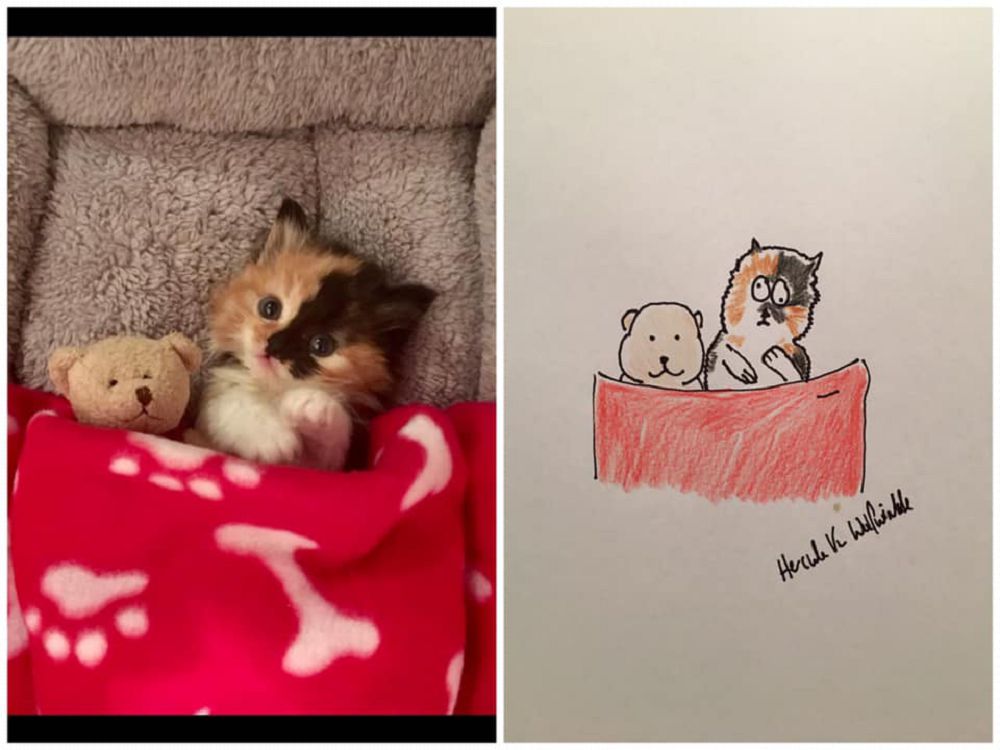 越拙劣越可愛!英國爸爸Hercule Van Wolfwinkle化身插畫家為兒子畫下幽默寵物畫作