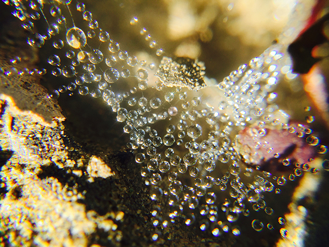 SNAP! 7 保護手機還能花式玩攝影，外接鏡頭用過就回不去啦！