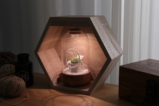 當法國時裝遇見日本文具！誠品還有自製植栽燈、瓶中景等手作商品喔