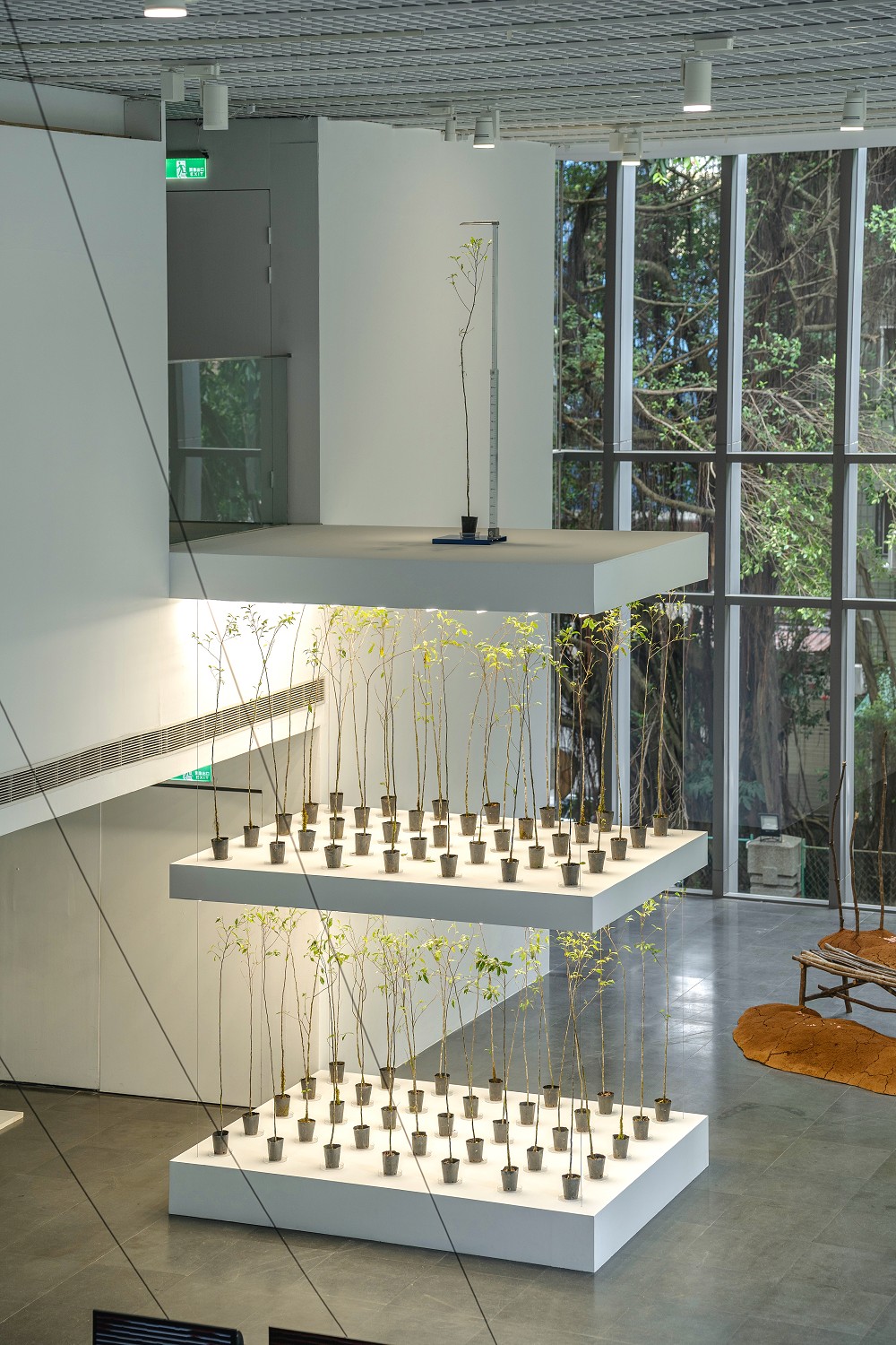 北師美術館《酷共生》展覽亮點！11組跨領域創作探討跨越物種的依存關係