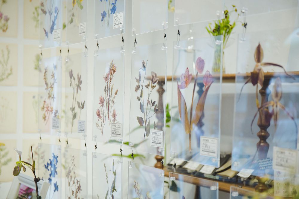 台北唯一看得見森林的書店「森大青鳥」！走進書店閱讀森林，藝術音樂、自然詩歌、植物美學齊放