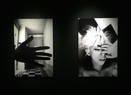 【觀展心得】惡女其實有顆溫柔的心 - 蜷川實花華麗至極，絢爛奪目的影像世界