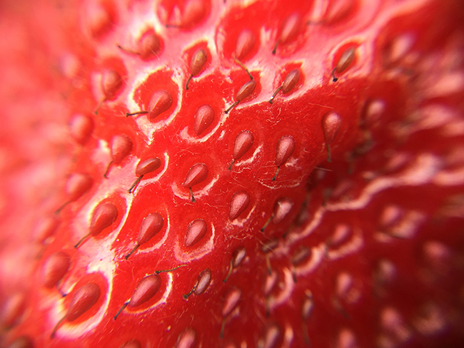 SNAP! 7 保護手機還能花式玩攝影，外接鏡頭用過就回不去啦！