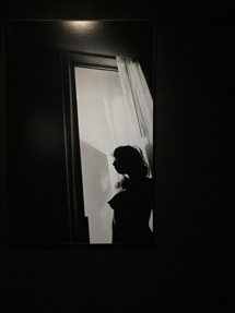 【觀展心得】惡女其實有顆溫柔的心 - 蜷川實花華麗至極，絢爛奪目的影像世界