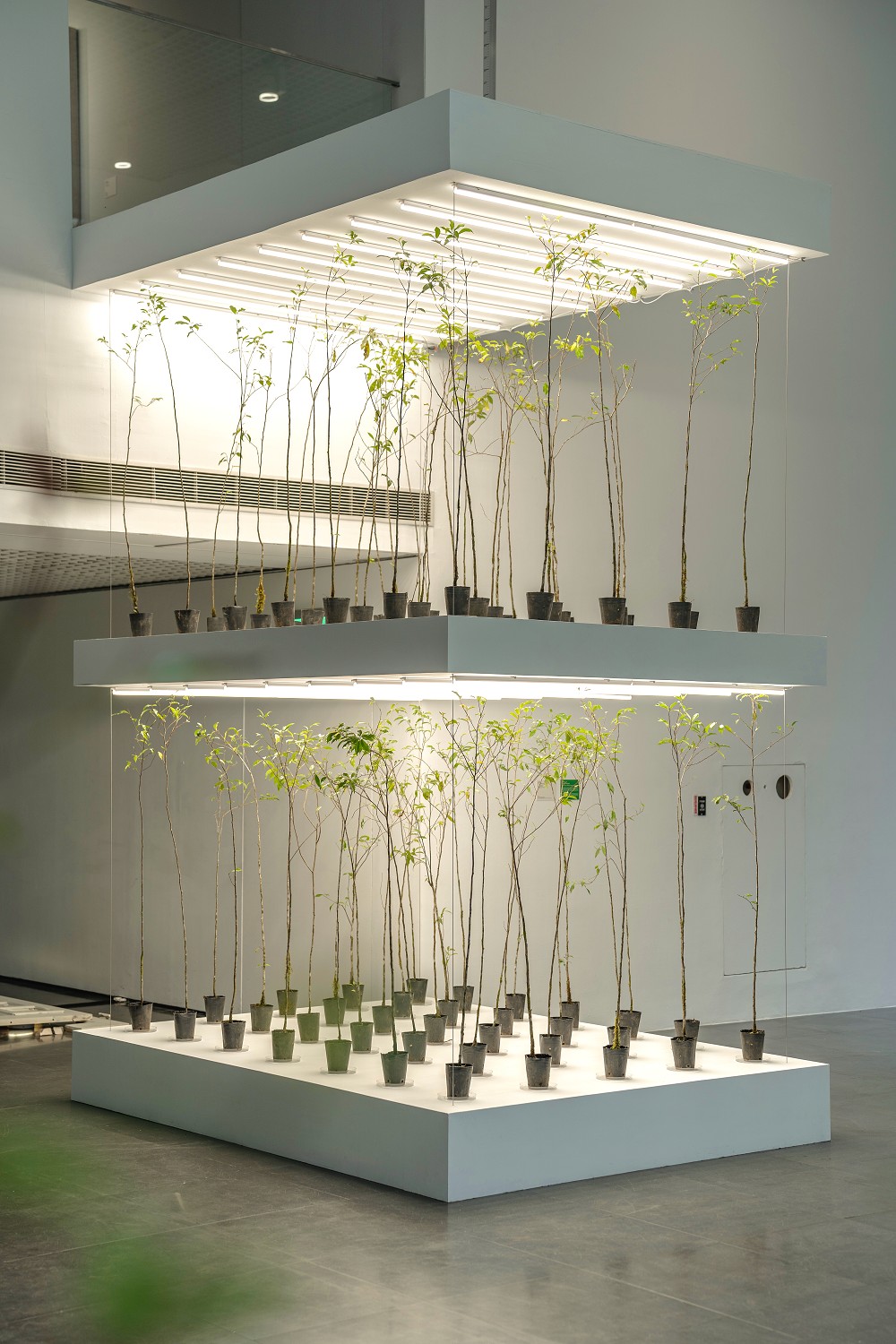 北師美術館《酷共生》展覽亮點！11組跨領域創作探討跨越物種的依存關係