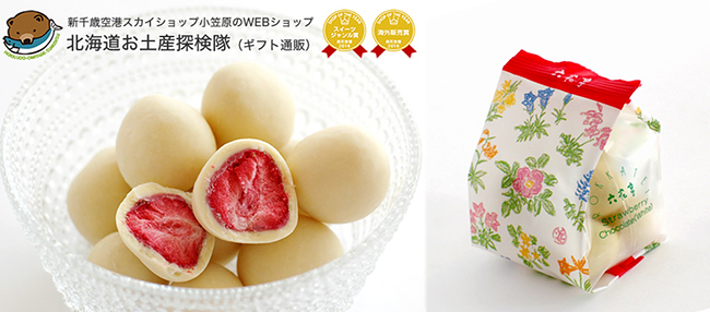 雙11單身節限定優惠！2017 日本樂天前百大商品精選別錯過