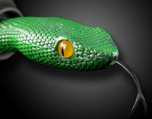 小姐你的耳朵裡有蛇！！！有夠擬真的蛇頭造型耳機