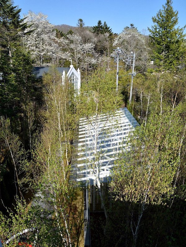 隱身白樺樹林的透明無邊界教堂 弱建築大師隈研吾於輕井澤的創意新作 大人物