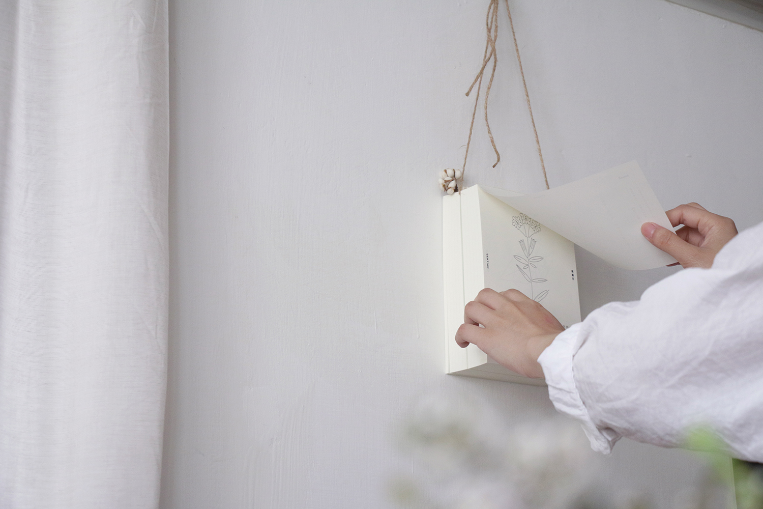 整年都有植物相伴！一隅有花推出《一年生》日曆勾勒植物姿態，結合溫暖字句撫慰日常生活