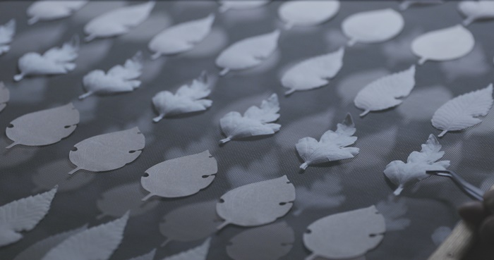 百年品牌質感新生！日本老舖薰壽堂的職人手作葉片型和紙薰香「HA KO」，散發秋冬木質調香氣