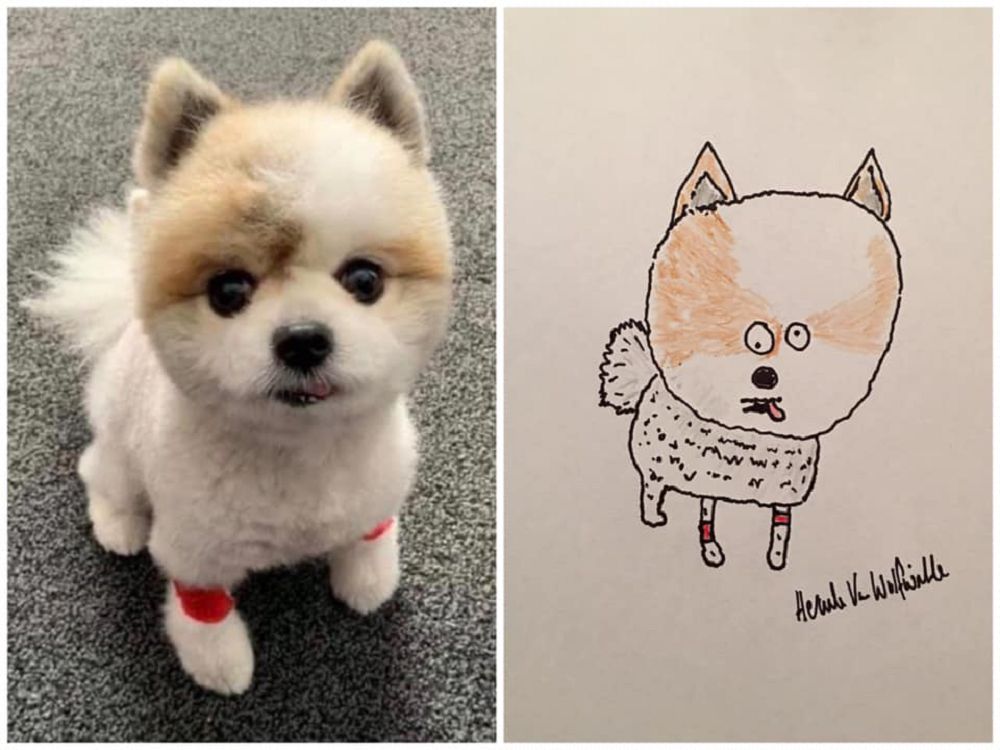 越拙劣越可愛!英國爸爸Hercule Van Wolfwinkle化身插畫家為兒子畫下幽默寵物畫作