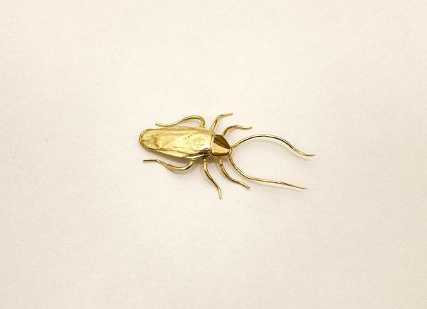 拿起拖鞋前先看仔細！鍍金的蟑螂雕塑（慎入：內有大量蟑螂）