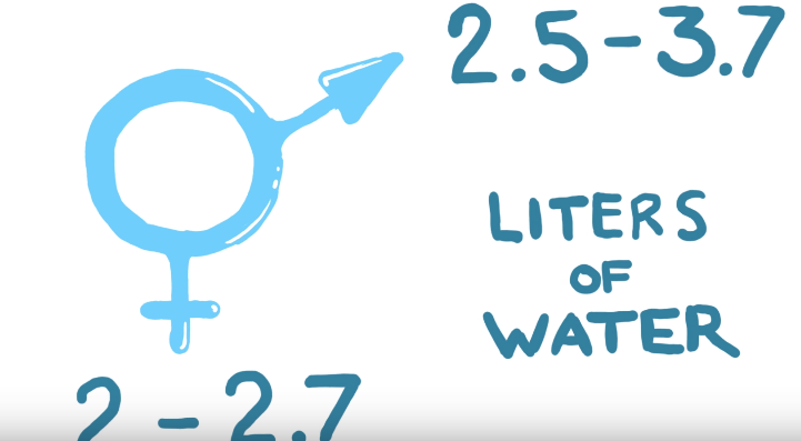 【TEDxTaipei】多喝水有益身體健康?「水分平衡」才是正解!