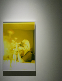 【觀展心得】惡女其實有顆溫柔的心 - 蜷川實花華麗至極，絢爛奪目的影像世界